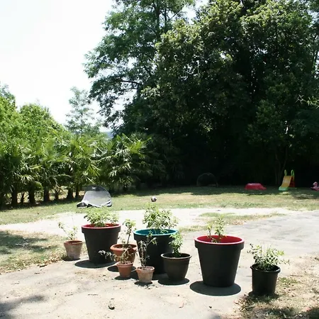 La Palmeraie, A Vic Fezensac